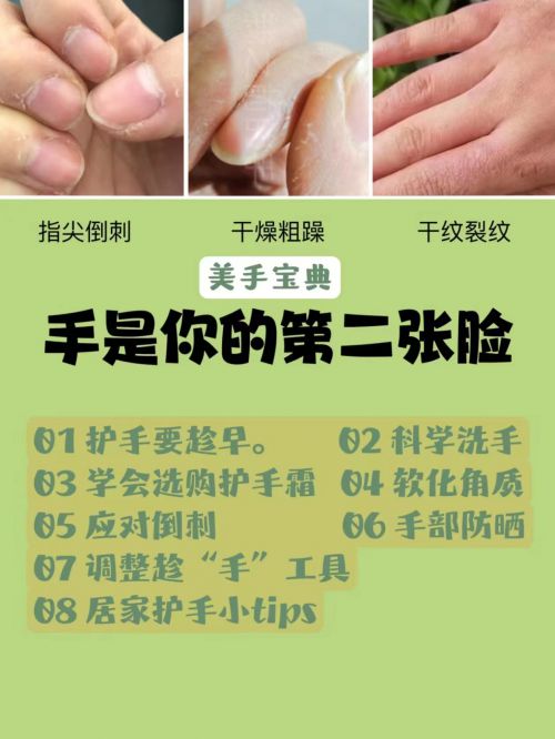 好用？护手霜真香铁律罕见宝藏推荐！AG旗舰厅登录首页护手霜哪个牌子最(图5)